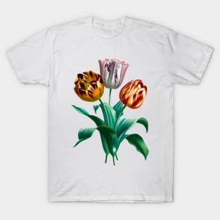 Colorful Vintage Watercolor Tulip Flowers Bouquet T-Shirt